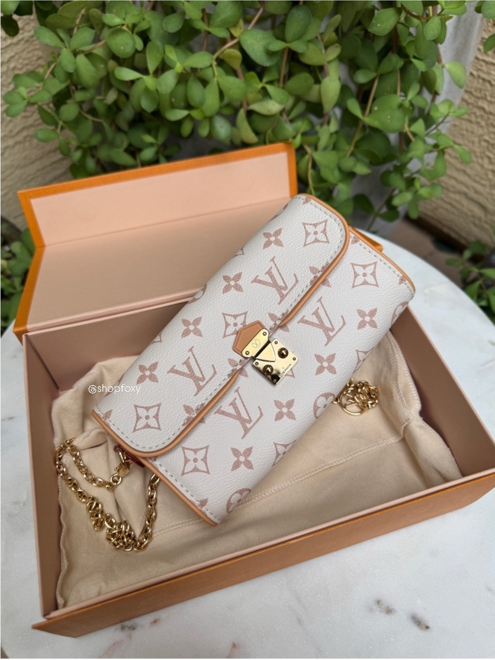 Louis Vuitton Monogram Dune Camille Pochette